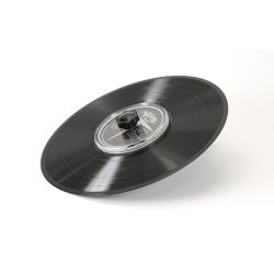 PLATENLABEL BESCHERMER LP120