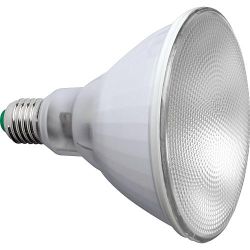 PLANTENLAMP PAR38 12W E27