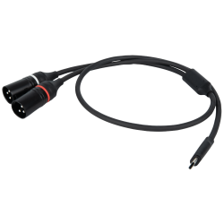 USB-C/2 X XLR MALE 0,75M