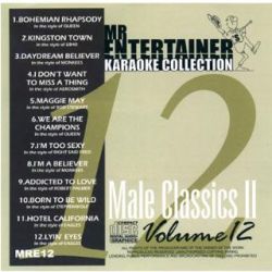KARAOKE MALE CLASSICS 2 CD