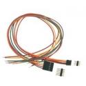 Categorie Model JR 2.54 image