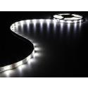 Categorie Ledstrip wit (koud) image